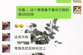 绥化债务清欠服务